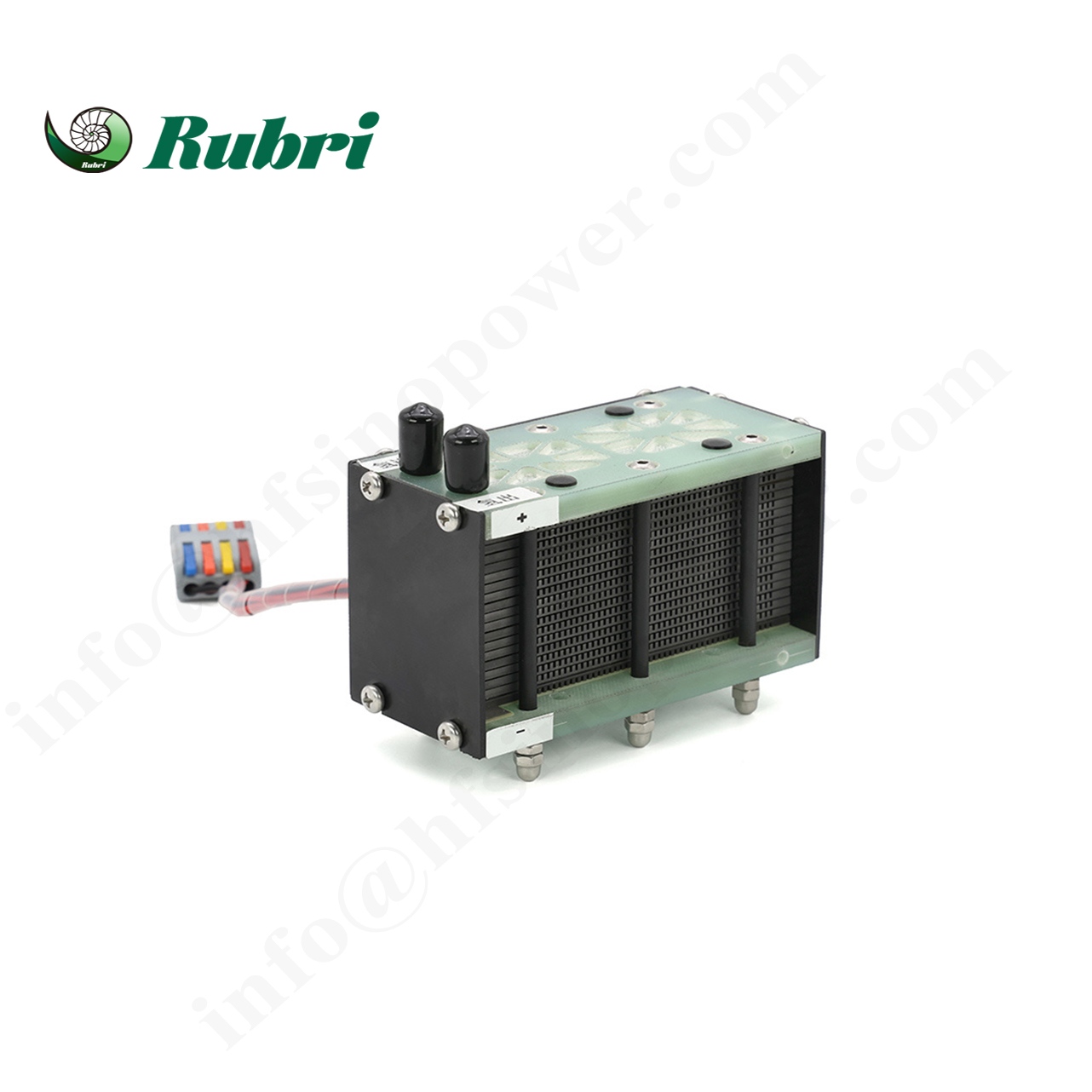 Pile à combustible à hydrogène refroidie par air de 300 W